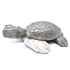 Tortuga decorativa en esteatita natural boliviana - 3
