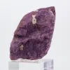 Purpurita en bruto portuguesa – Espécimen mineralógico sobre peana - 3